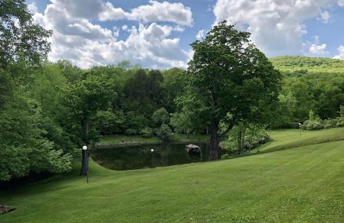 Mountain Condo with Modern Cabin Style - Foto 18