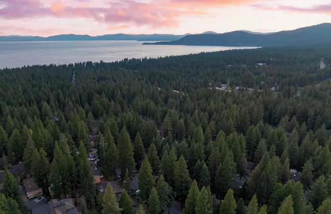 Tahoe Dreamin by Avantstay Central Location - Photo 36