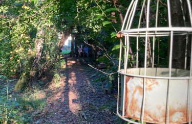 Ferienhaus Fuxbau - Foto 21