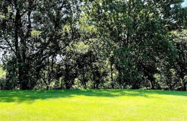 Villa El Rodal - Foto 22