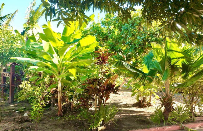 Branca Tropical Brasil Residencial - Foto 42