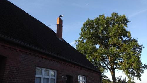 Krötenhof Barförde - Foto 2