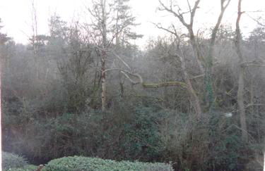 Villa Sérena la forêt et la plage à quelques minutes! - Foto 20