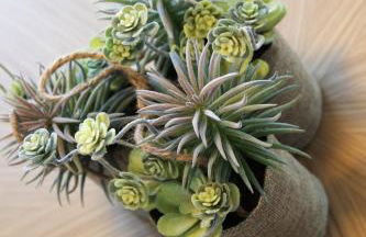 AG Residencial El Alamo - Foto 72