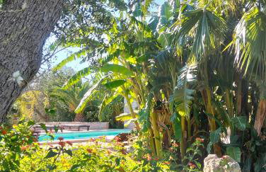 All'Ombra del Gelso, trullo con piscina - Foto 18