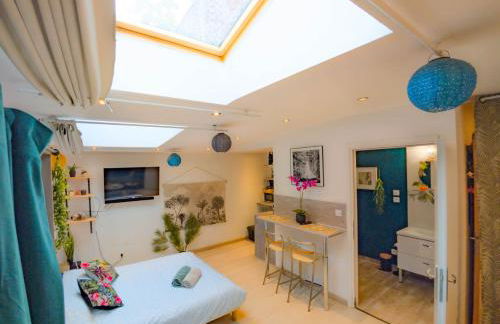 Jungle Studio - 2P à 4P -Henriville - Foto 14