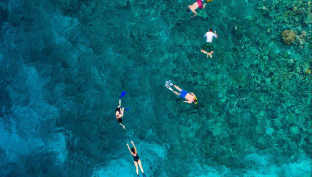 Snorkeling in Xabia - Foto 5