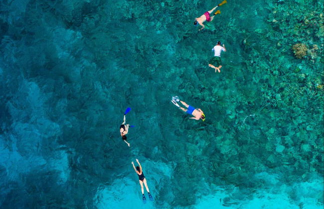 Snorkeling in Xabia - Photo 5