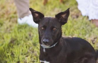 Quinta das Almas - Photo 23