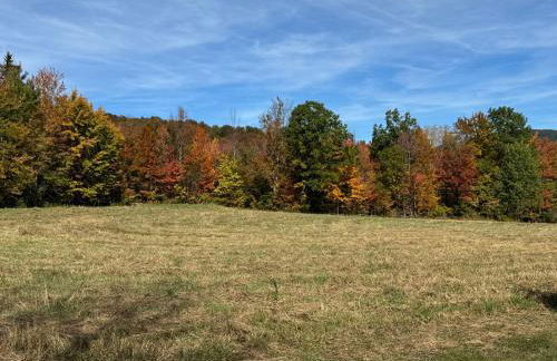 Mountain Retreat in the Catskills - Foto 28