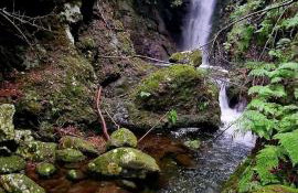 Ocean Breeze - Foto 39