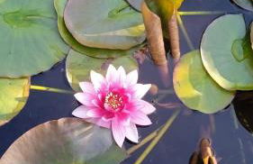 Casa Grande de Láncara - Foto 25