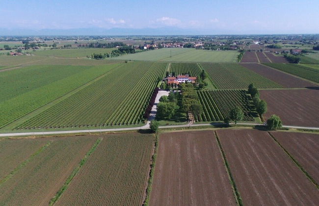 Agriturismo Le Cipressine - Photo 99