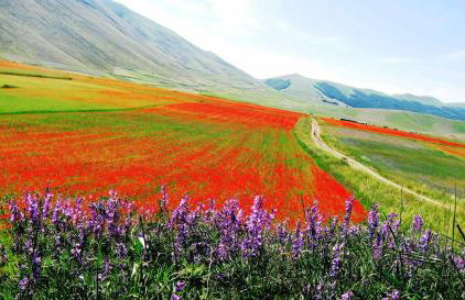 Antica Dimora - Foto 44