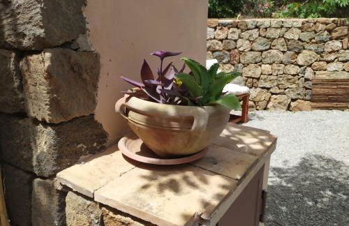 I dammusi di sottokuddia - Foto 22