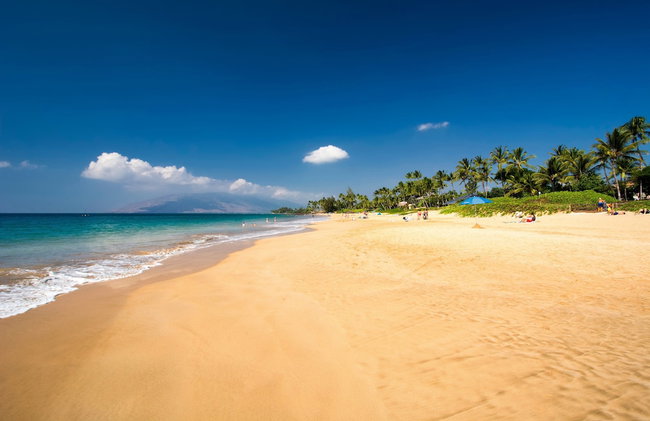 Beautiful 1 Bedroom Condo with Ocean Views | Oceanfront - Foto 104