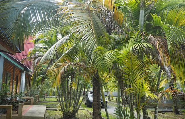 Coconut Bungalow - Foto 27