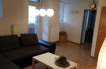 Schneckenhaus - Foto 9