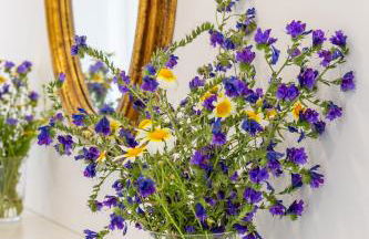 Sea Clouds - Foto 12