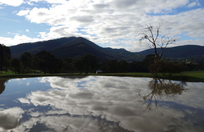 The Black Sparrow - Photo 74