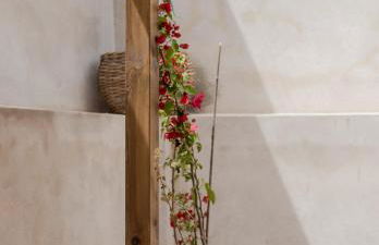 Hara's house - Foto 26