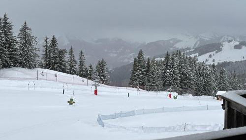 Avoriaz Malinka - Photo 3