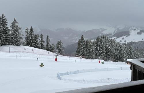 Avoriaz Malinka - Photo 3