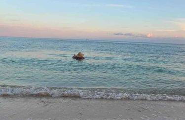 Your Happy Place ON THE BEACH! - Foto 49