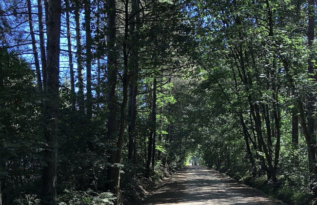 Chalet in Antwerp Near Bobbejaanland Park - Foto 24
