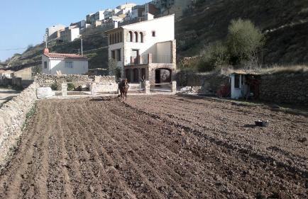 Casa Rural Caseta de l' Hort - Foto 70