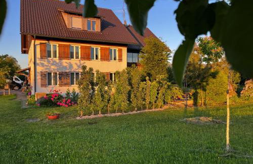 Ruhiges wohnen mit Bergblick - Foto 1