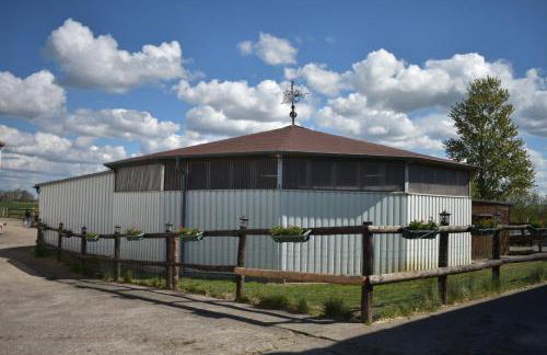 Idylle auf dem Reiterhof bei Husum - Foto 7