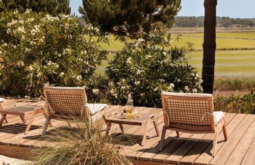 Campo de Arroz - Foto 15