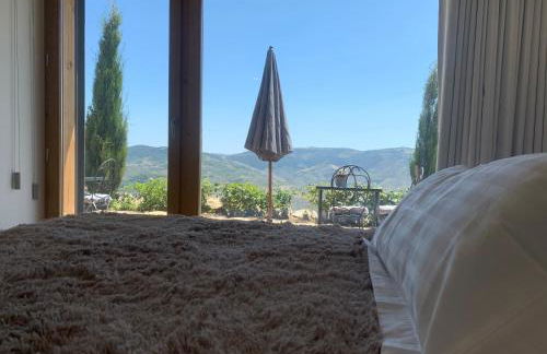 Quinta de Santa Marinha - Photo 60