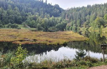 Ferienwohnung Nani - Foto 15