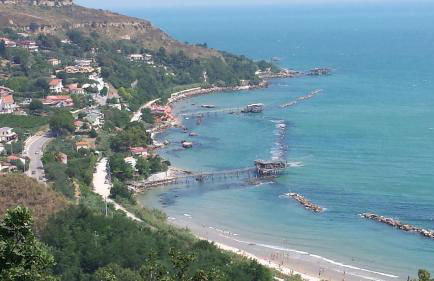 Tra gli ulivi - Foto 28