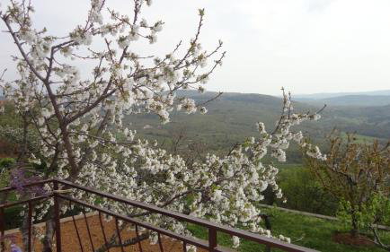 Apartment Fabris - Foto 38