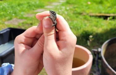 Gite des Hirondelles - Foto 25