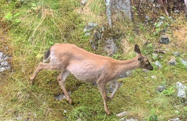 Cozy Luxury Close to Downtown 204 - Foto 13