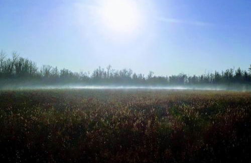 Casa Magnolia - Foto 36