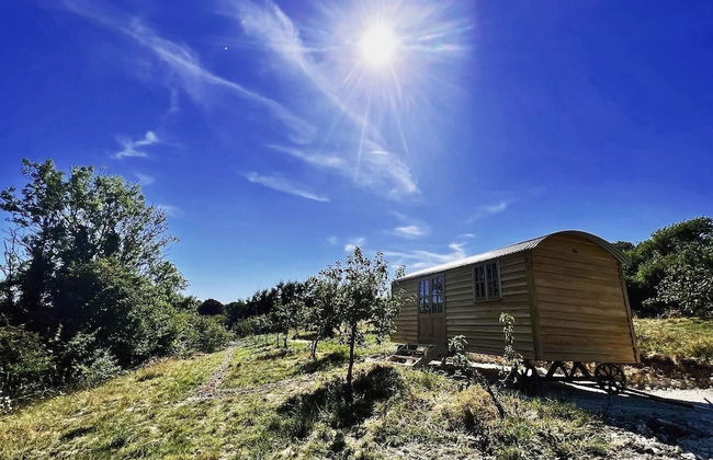 Robins Retreat - Orchard With hot tub - see Extras - Foto 1