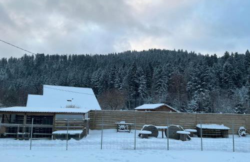 Gîte coquelicot les cœurs du tilleul - Photo 15
