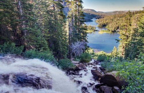 Summit 295 - Photo 19