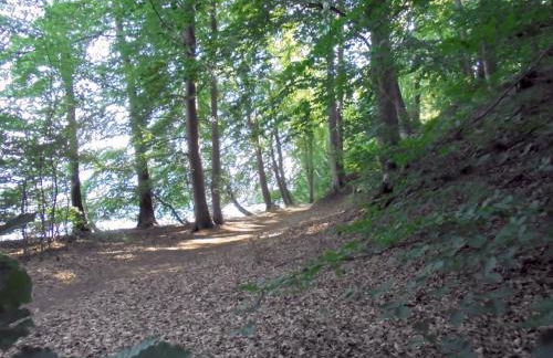 Landhaus Fischersruh Plauer See - Foto 14