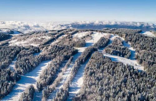 Chalet MÖKI accès piscine sauna - Foto 12