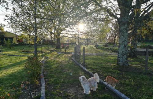 Casa das Palmeiras - Pedagogic Farm - Foto 90