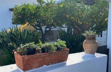 Casa Salina - Photo 17