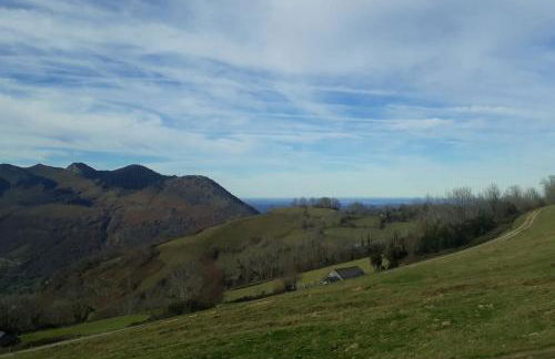 Bielle, grand appartement 38m2, piscine, 4 pers, couchages 160x200 - Foto 9