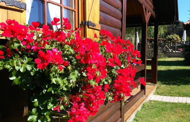 Cabañas de Lires - Foto 46