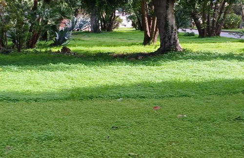 Maison Du Parc - Foto 15